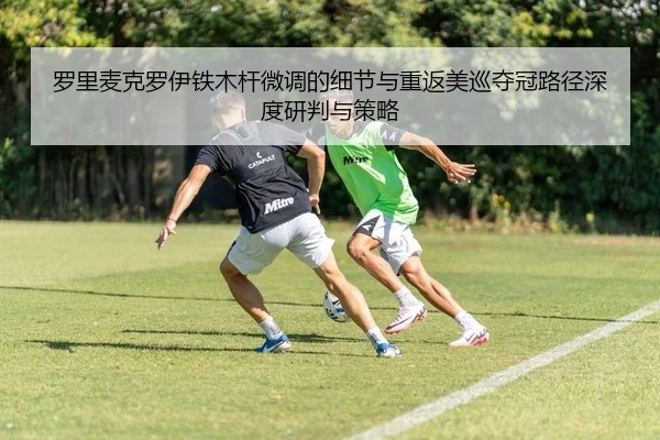 luo-li-mai-ke-luo-yi-tie-mu-gan-wei-diao-de-xi-jie-yu-chong-fan-mei-xun-duo-guan-lu-jing-shen-du-yan-pan-yu-ce-lve-2-583.jpg